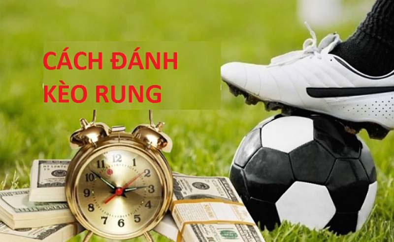 Cược running ball là gì? Cách đánh rung hiệu quả