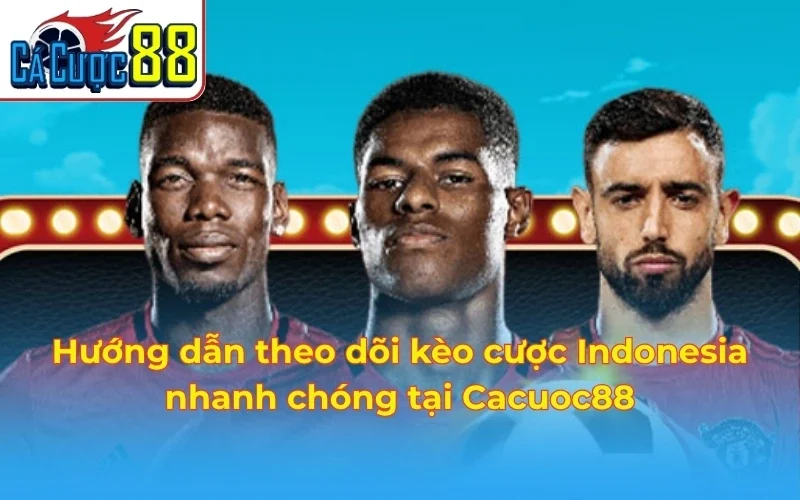 Hướng dẫn theo dõi kèo cược Indonesia nhanh chóng tại Cacuoc88